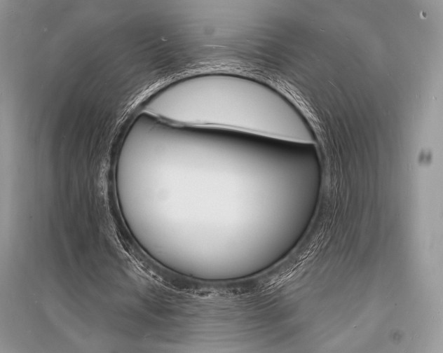 X0000096390434200801241120
