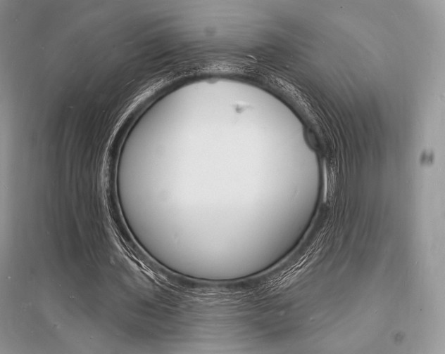 X0000096390435200801241120