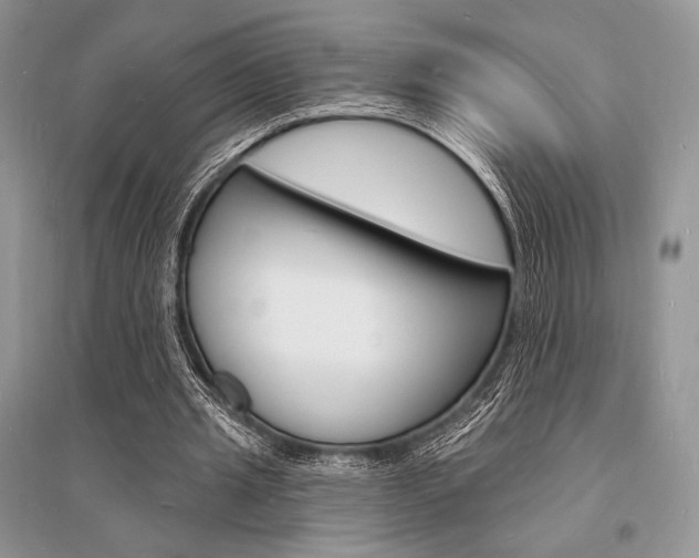 X0000096390437200801241120