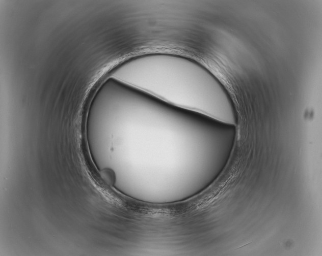 X0000096390438200801241120