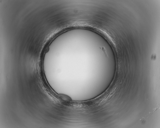 X0000096390439200801241120