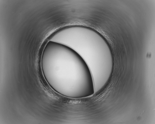 X0000096390440200801241120