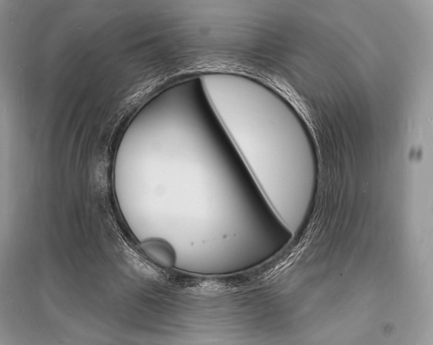 X0000096390441200801241120