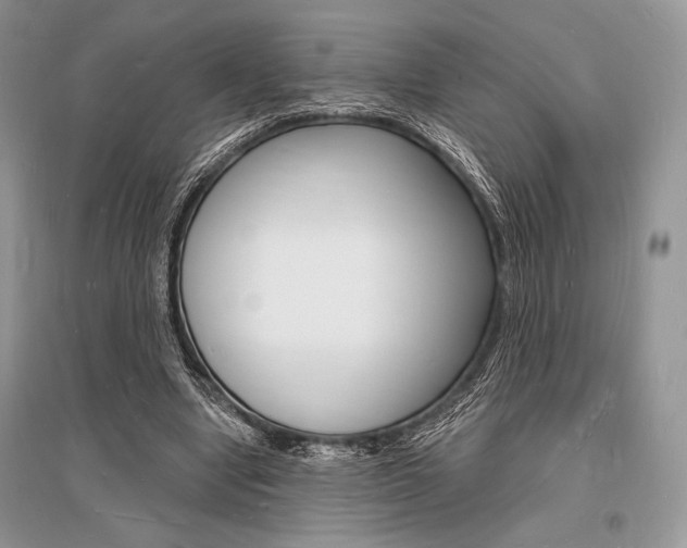 X0000096390442200801241120