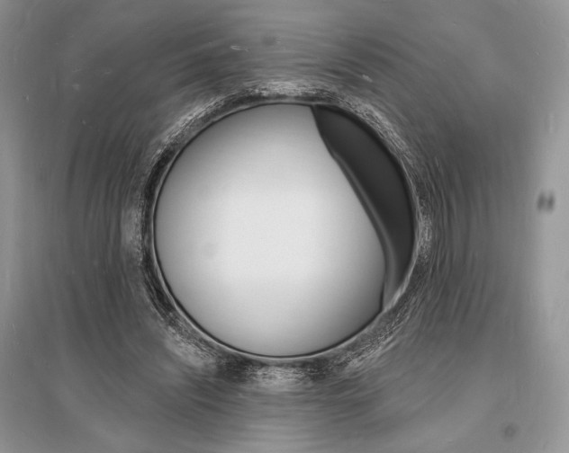 X0000096390444200801241120