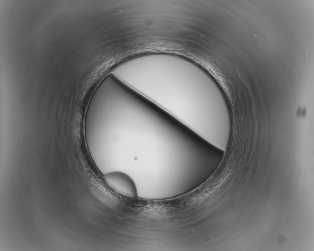 X0000096390445200801241120