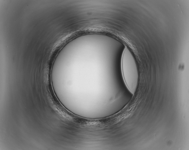 X0000096390446200801241120