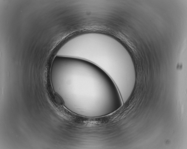 X0000096390448200801241120