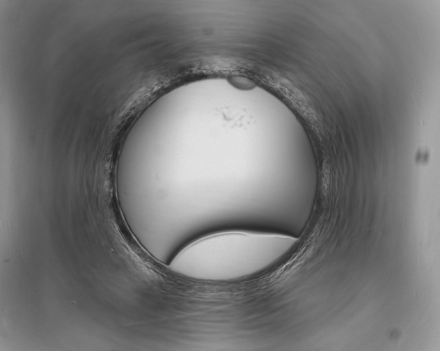 X0000096390449200801241120