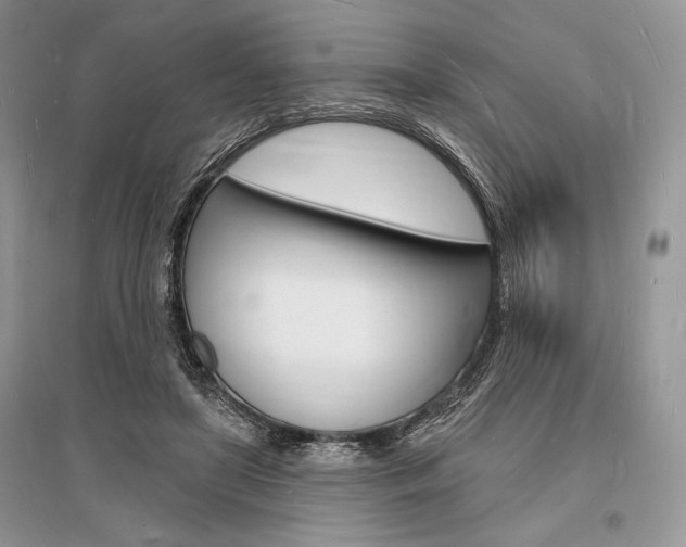 X0000096390451200801241120