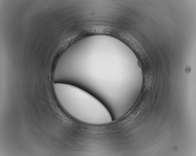 X0000096390453200801241120