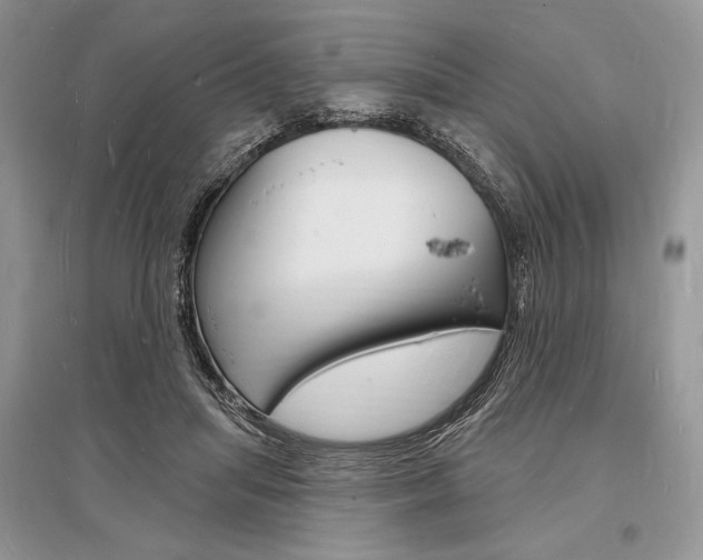 X0000096390455200801241120