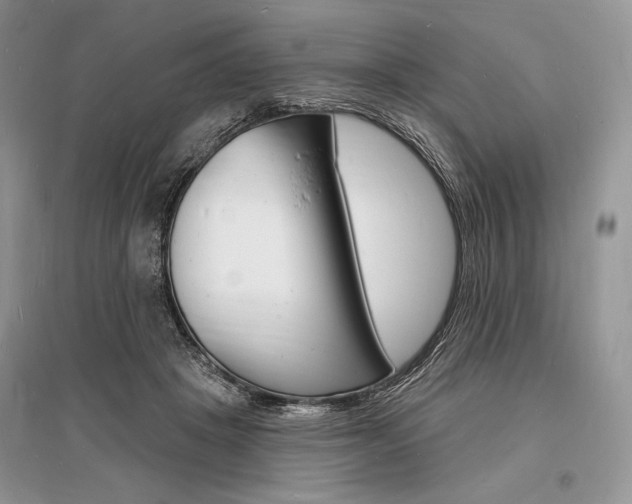 X0000096390457200801241120