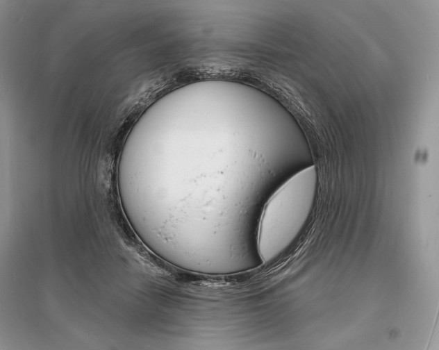 X0000096390458200801241120