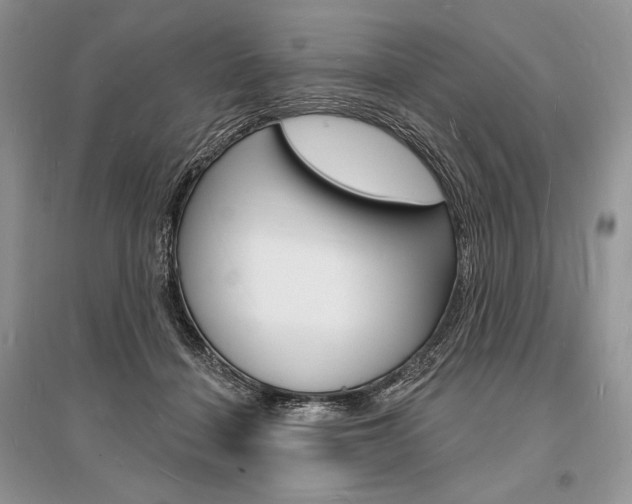 X0000096390460200801241120