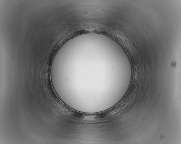 X0000096390461200801241120