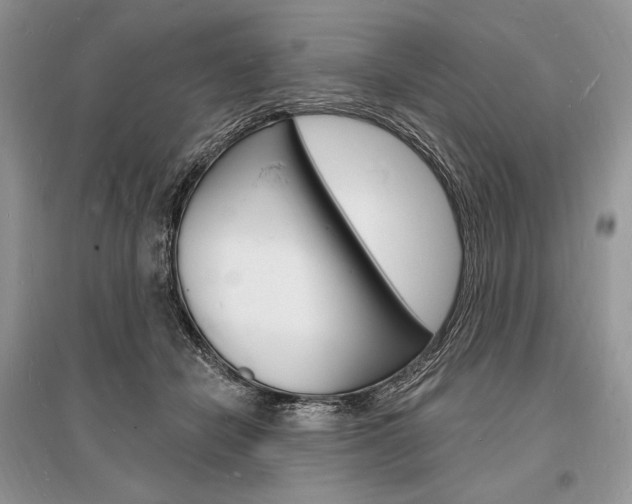X0000096390462200801241120