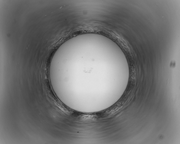 X0000096390465200801241120
