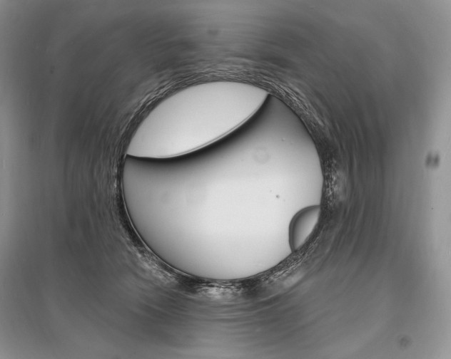 X0000096390466200801241120