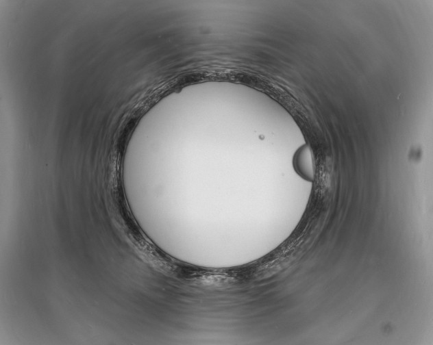 X0000096390468200801241120
