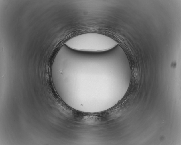 X0000096390470200801241120