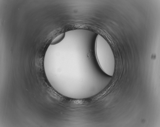 X0000096390473200801241120