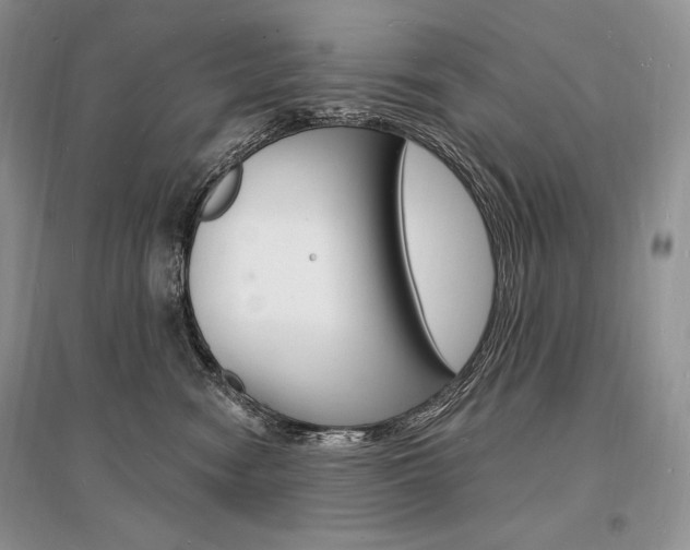X0000096390474200801241121