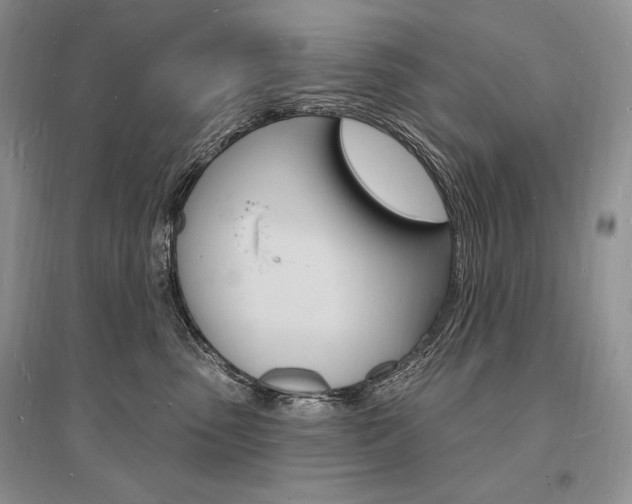 X0000096390475200801241121