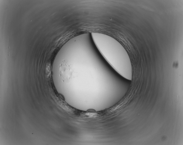 X0000096390478200801241121