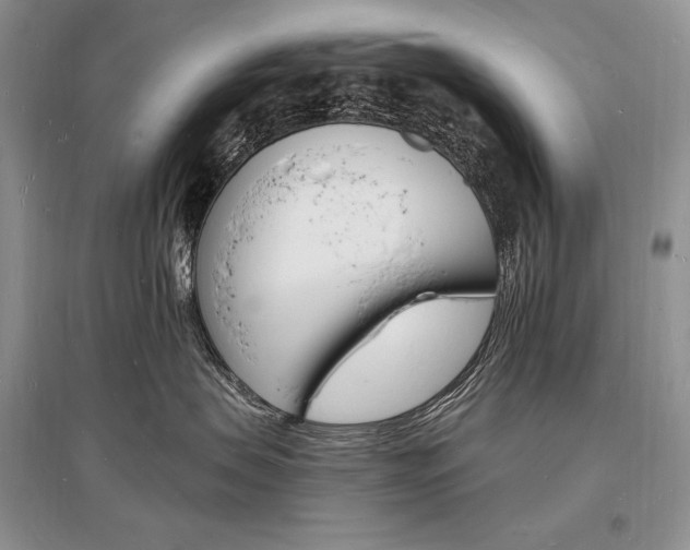 X0000096390479200801241121
