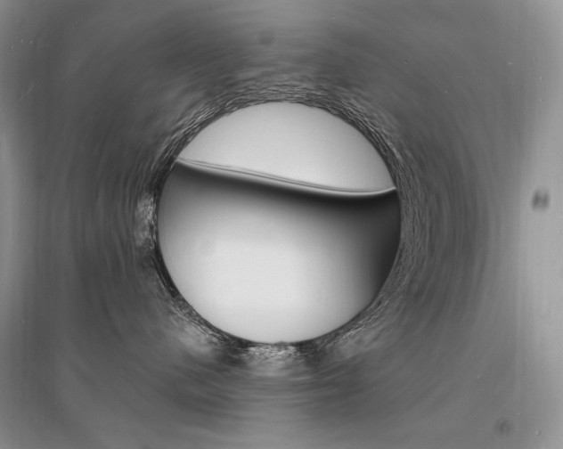 X0000096390480200801241121