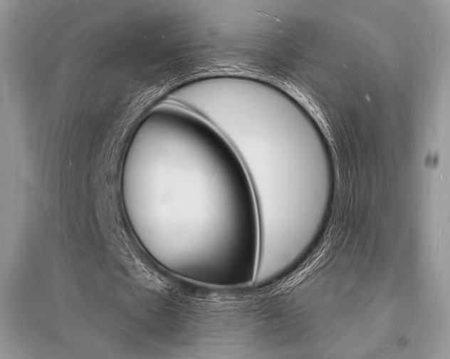X0000096390481200801241120