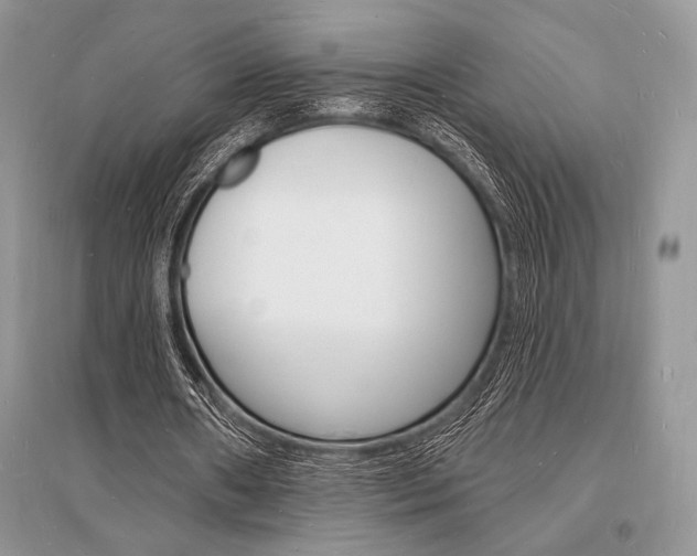 X0000096390482200801241120