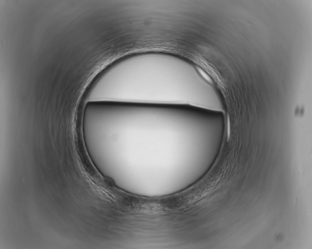 X0000096390483200801241120