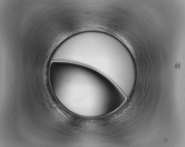 X0000096390485200801241120