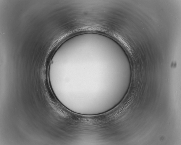 X0000096390486200801241120