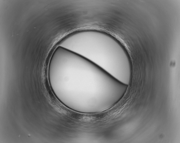 X0000096390487200801241120