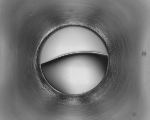 X0000096390488200801241120