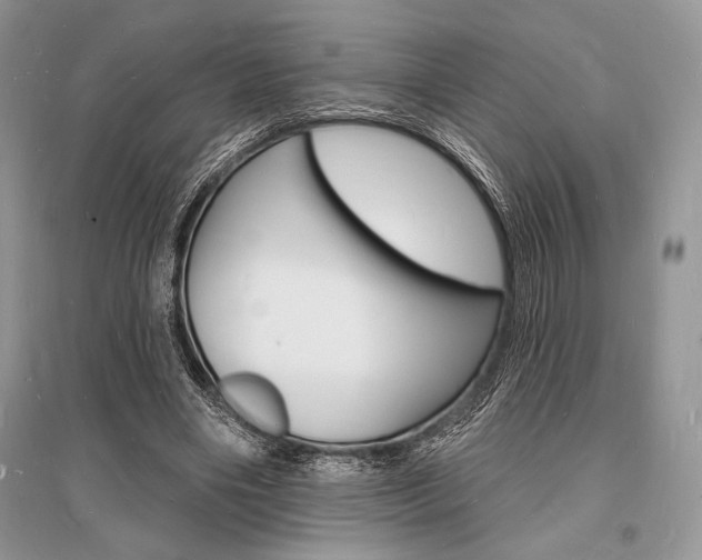X0000096390490200801241120