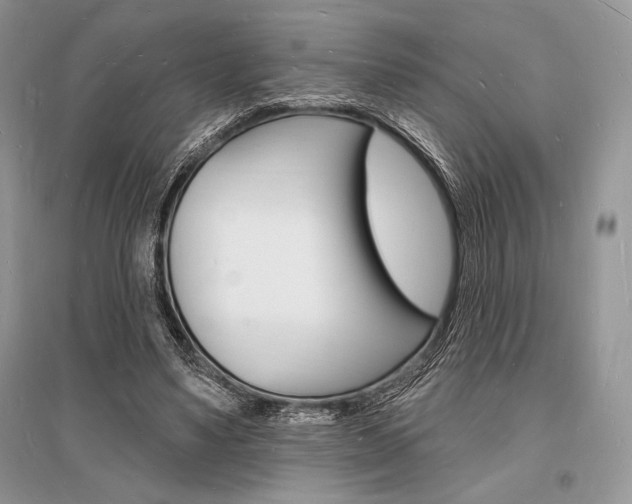 X0000096390491200801241120