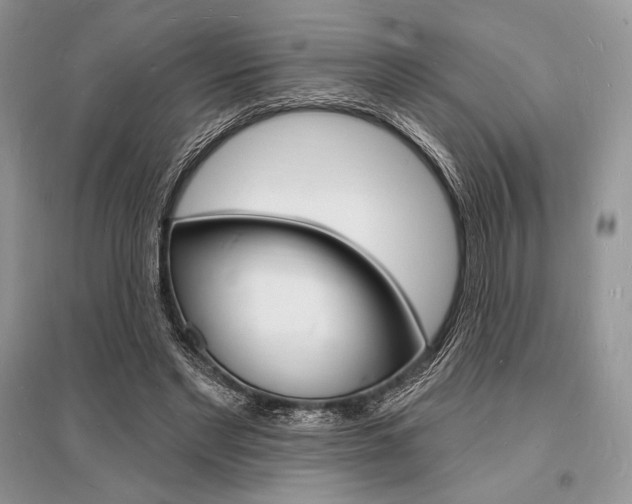 X0000096390493200801241120