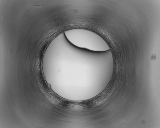 X0000096390498200801241120