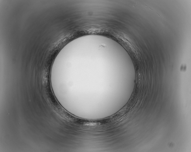 X0000096390499200801241120