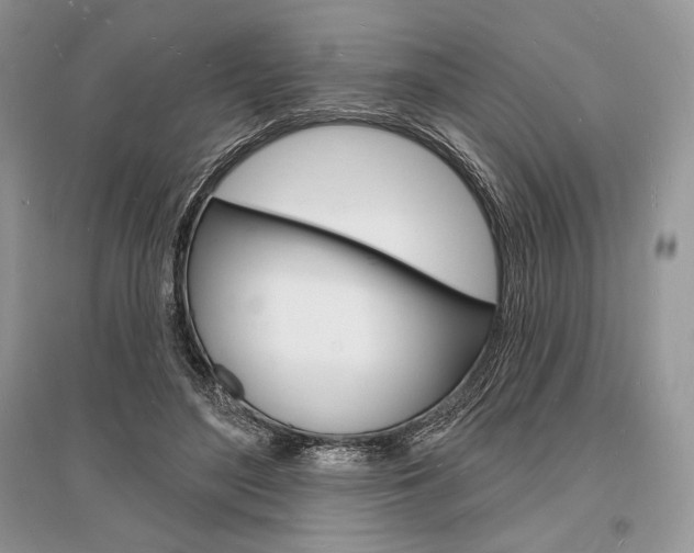 X0000096390500200801241120