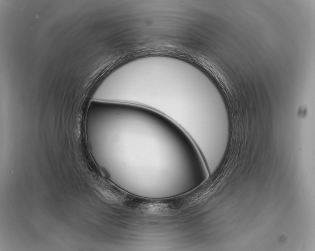 X0000096390501200801241120