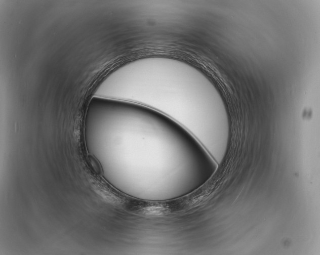 X0000096390505200801241120