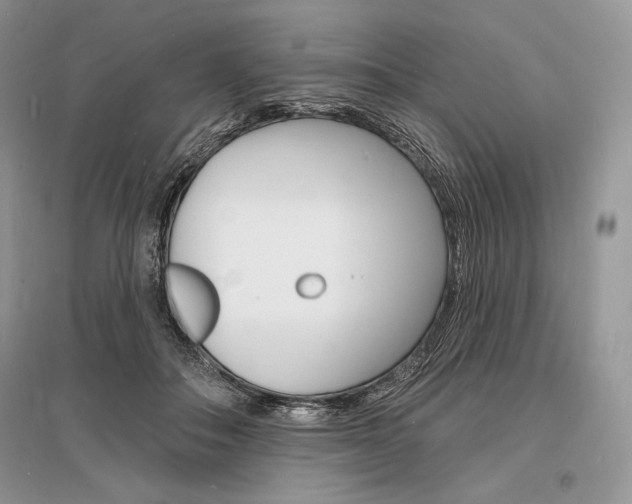 X0000096390506200801241120