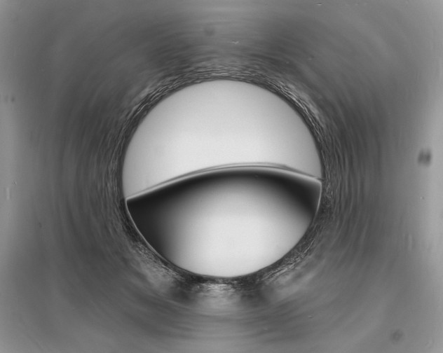 X0000096390509200801241120