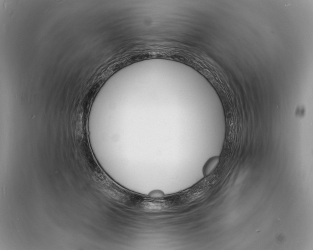 X0000096390510200801241120