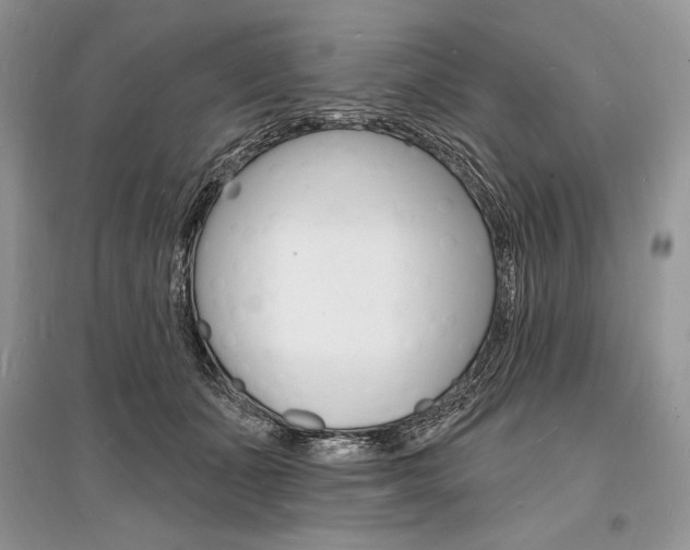 X0000096390511200801241120